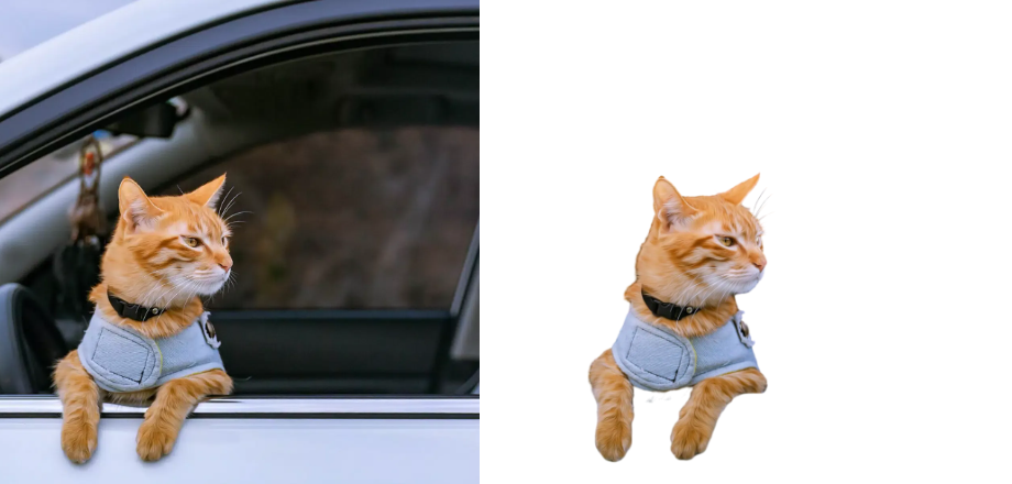 5款免费的AI 抠图工具推荐,发丝轻松搞定