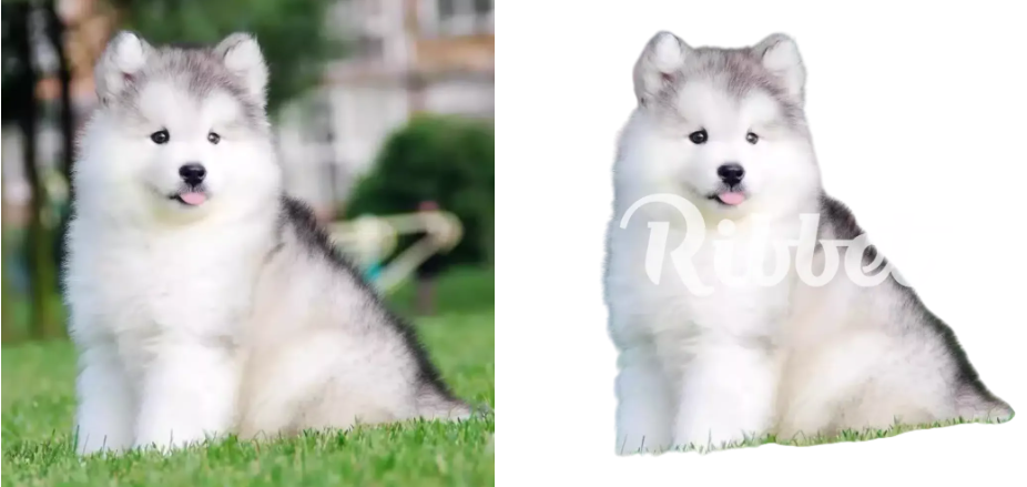 5款免费的AI 抠图工具推荐,发丝轻松搞定